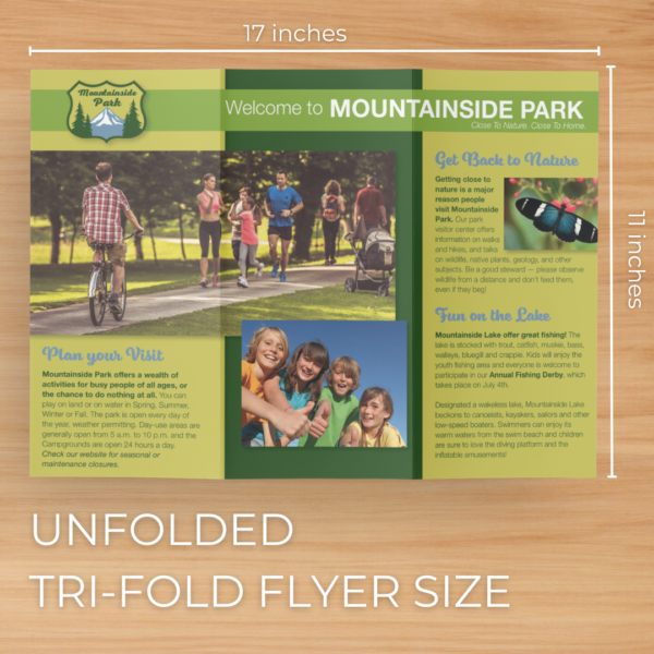 Tri-Fold Brochure - Image 4